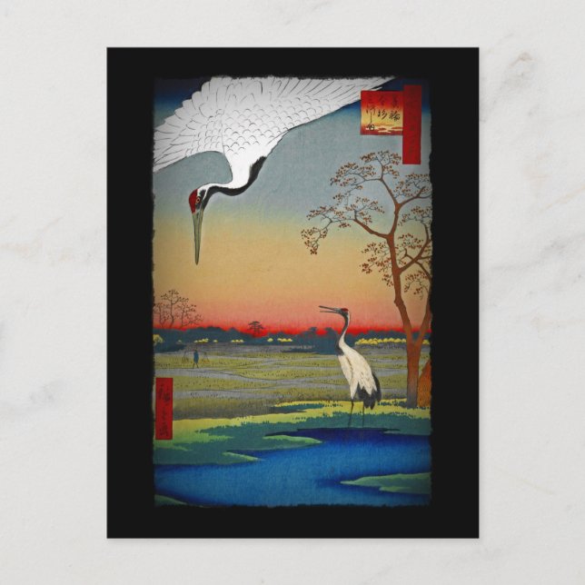 Krane und blaues Wasser Postkarte (Vorderseite)