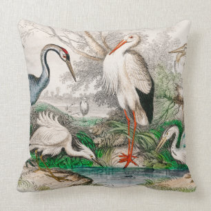 Krane, Weißer Storch, Gigantischer Kranich, Häuf Kissen