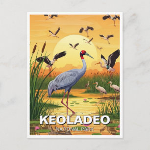 Kranich im Keoladeo-Nationalpark Indien Reise Postkarte