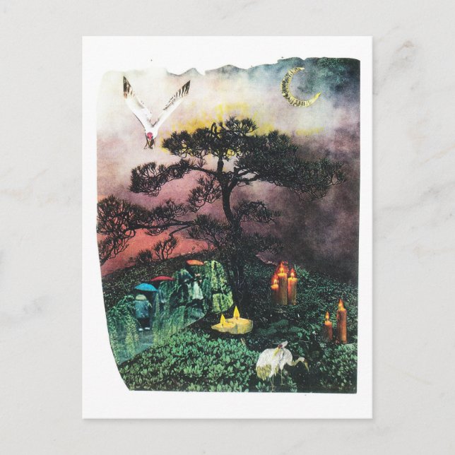 Kraniche Postkarte (Vorderseite)