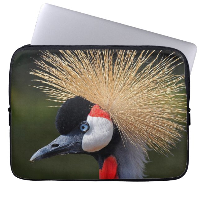 Kranichkranich Laptopschutzhülle (Vorderseite)