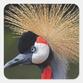 Kranichkranich Quadratischer Aufkleber