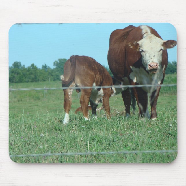 Krankenpflege-Kalb Mousepad (Vorne)