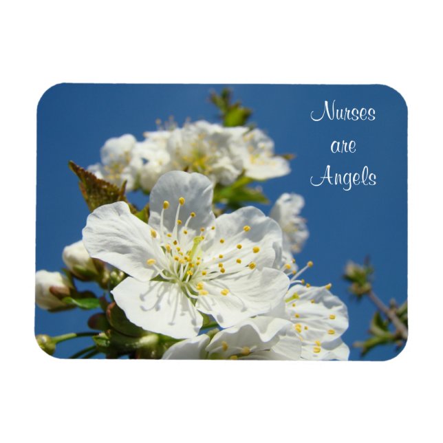 Krankenschwestern sind Engelmagnete Blue Sky Cherr Magnet (Horizontal)
