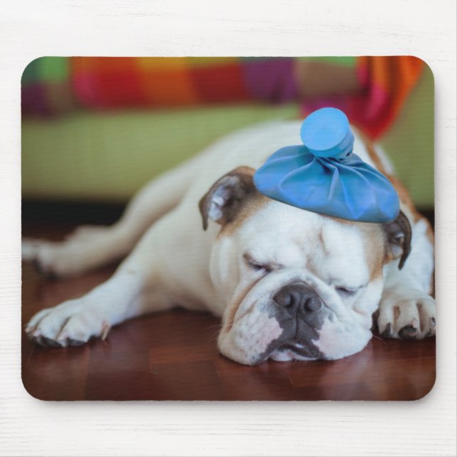 Kranker junger Welpe Getty Bild-| Mousepad (Vorne)