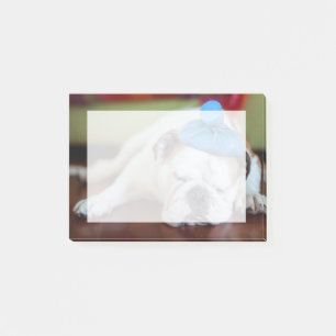 Kranker junger Welpe Getty Bild-  Post-it Klebezettel