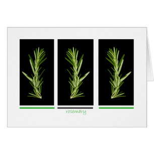 Kraut - Rosmarinkarte