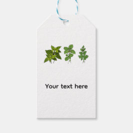 Kräuter, Kräuter Thema Geschenkanhänger