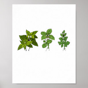 Kräuter, Kräuter Thema Poster