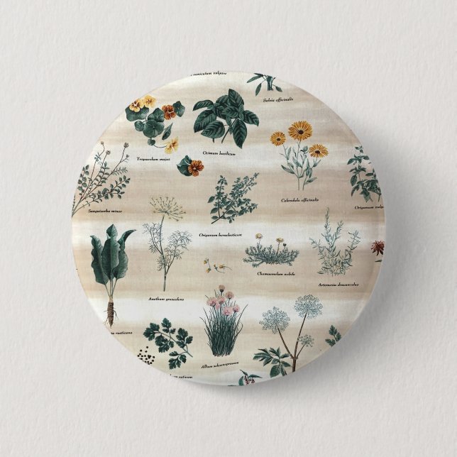 Kräuter Pflanze Blume Button (Vorderseite)