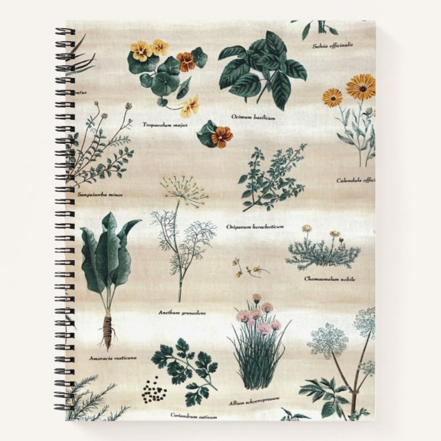 Kräuter Pflanze Blume Notizbuch (Vorderseite)