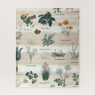 Kräuter Pflanze Blume Puzzle