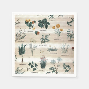 Kräuter Pflanze Blume Serviette