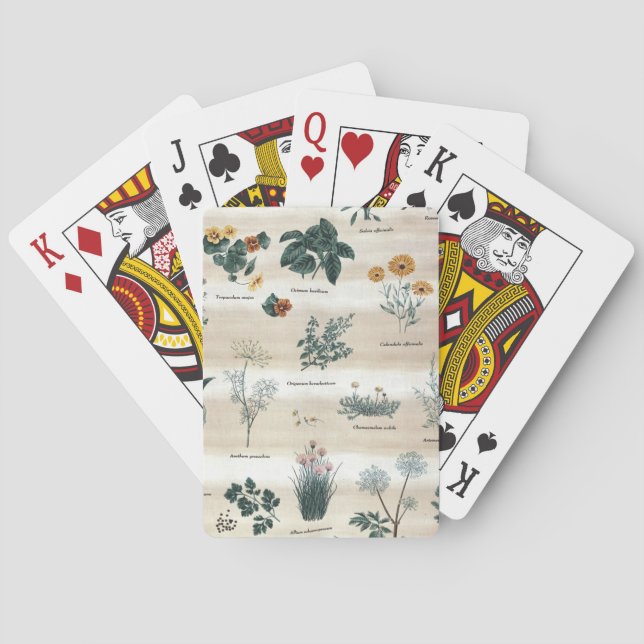 Kräuter Pflanze Blume Spielkarten (Rückseite)
