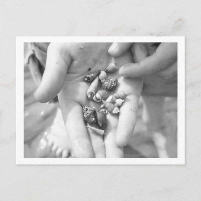 Kräuter Postkarte (Vorderseite)