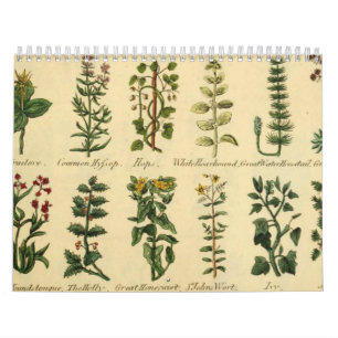 KRÄUTER UND BOTANIK, Mittelalterlicher Vintage-Kal Kalender