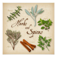 Kräuter und Gewürze, Rosmarin, Sage, Thyme, Zimt