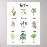 Kräuter Wasserfarbensage Thyme Rosemary Küche