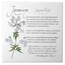 Kräuterapothecary: Jasmine | BLUME KERAMIK