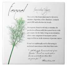 Kräuterapothekar: Fennel | KERAMIK