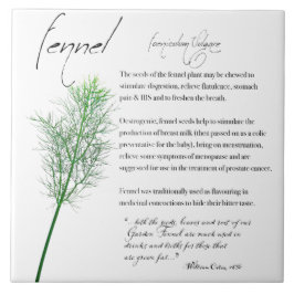 Kräuterapothekar: Fennel | KERAMIK Fliese