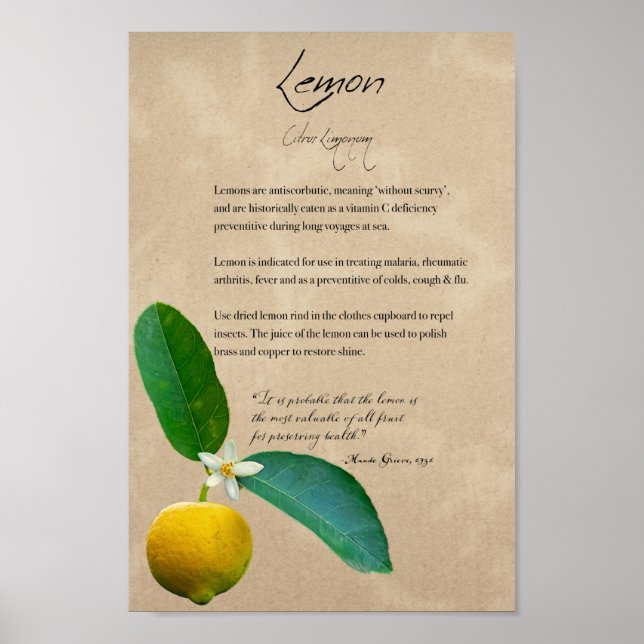 Kräuterapothekar: Lemon | Botanisches Poster (Vorne)