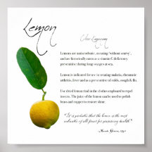 Kräuterapothekar: Lemon | Value Paper Poster