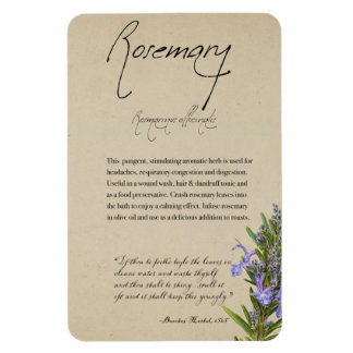 Kräuterapothekar: Rosemary | Magnet