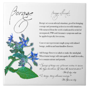 Kräuterapotheke: Borage   KERAMIK Fliese