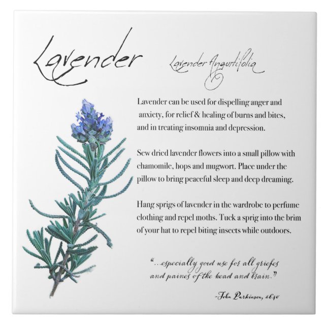 Kräuterapotheke: Lavendel | KERAMIK Fliese (Vorderseite)