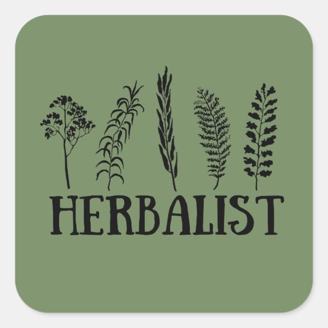 Kräuterarten Quadratischer Aufkleber (Vorderseite)
