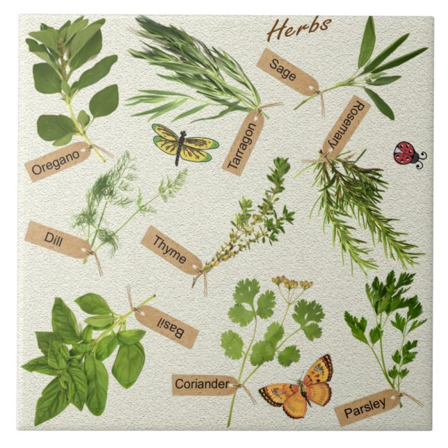 Kräuterfliesen Fliese (Vorderseite)