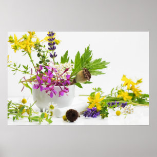 Kräutergarten Poster