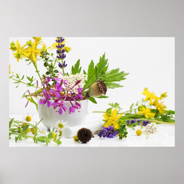 Kräutergarten Poster (Vorne)