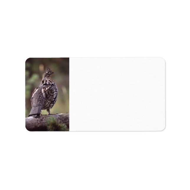 Kräuterhuhn Adressaufkleber (Vorne)