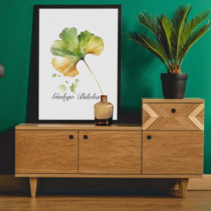 Kräuterleben: Ginkgo Biloba anpassbar Poster