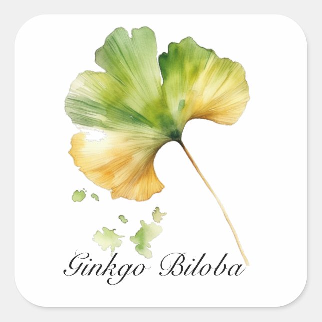 Kräuterleben: Ginkgo Biloba Blatt anpassbar Quadratischer Aufkleber (Vorderseite)