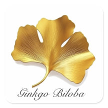 Kräuterleben: Goldenes Ginkgo-Biloba-Blatt anpassb