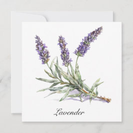 Kräuterleben: Lavendel, anpassbar