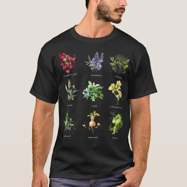 Kräuterpflanze PhytoKräuterpflanze (161) T-Shirt (Vorderseite)