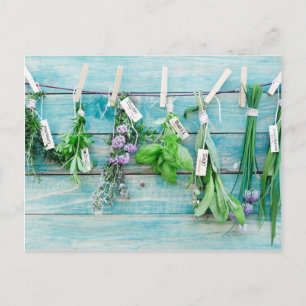 Kräuterpflanzen an Vintag türkisfarbenen Holzwände Postkarte