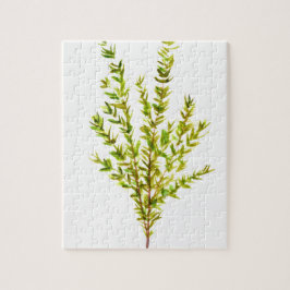 Kräuterpflanzen Botanischer Kräuterkraut, Aquarell Puzzle