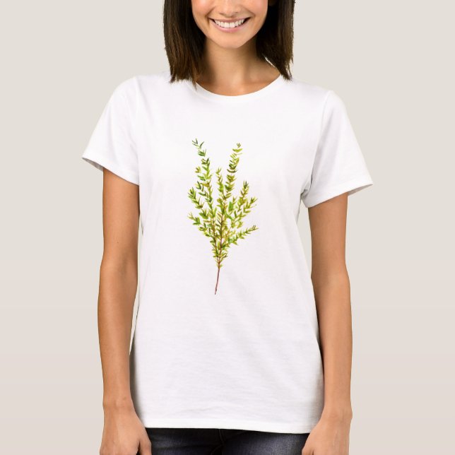 Kräuterpflanzen Botanischer Kräuterkraut, Aquarell T-Shirt (Vorderseite)