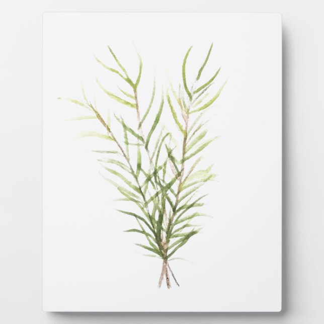 Kräuterrosmarin Fotoplatte (Vorderseite)