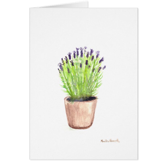 Kräutertopf-Pflanze (Vorne)