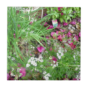 Krautsammlungsschnittlauch-Fotografiekunst Fliese