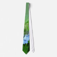 Krawatte des Bluebell-06