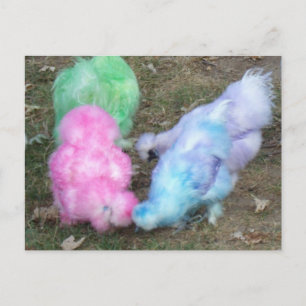 Krawatte Dyed Silkie Chickens in Pastellfarben Feiertagspostkarte