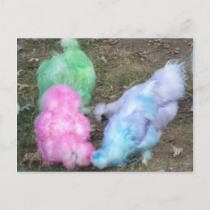 Krawatte Dyed Silkie Chickens in Pastellfarben Feiertagspostkarte