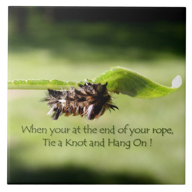 "Krawatte ein Knoten und ein Fall auf" Decrotive Fliese (Vorderseite)